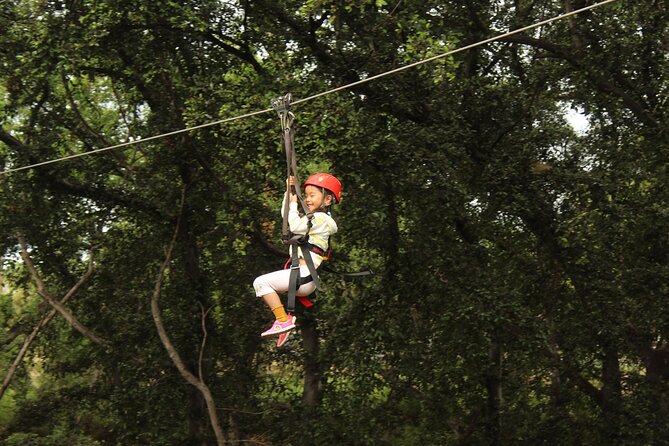 3 Zipline Adventure with Waikiki Transportation - Waikiki Pickup Gets You to Coral Crater Faster