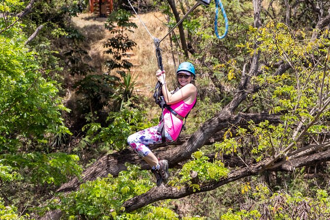 3 Zipline Adventure with Waikiki Transportation - Coral Crater Adventure Park: The Zipline Layout and Big-View Moments