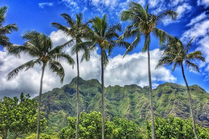 4 Hour Half Day Island Jeep Tour - Who This Tour Fits Best (And Who Might Skip It)