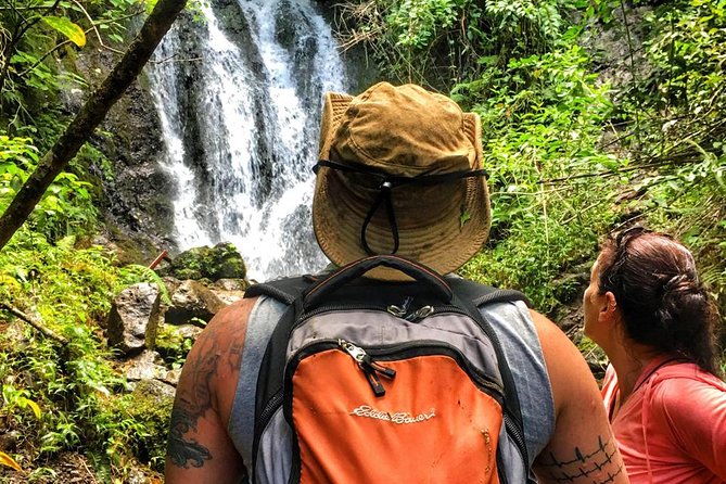 5 Hour Romantic Hawaii Jeep Tour - Price and Value: Is $275.96 per Person a Good Deal?