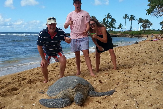 6-Hour Private Customized Luxury Convertible Tour of Oahu's North Shore - Picking the right guide and using customization to your advantage