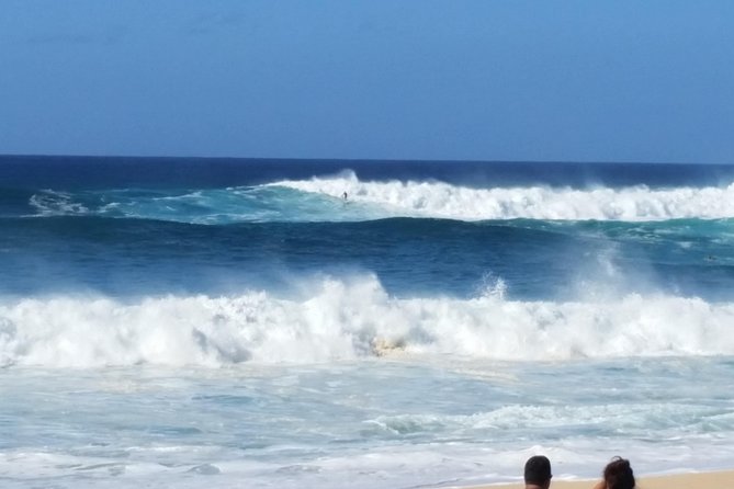 6-Hour Private Customized Luxury Convertible Tour of Oahu's North Shore - Stop 4: Waimea Valley for botanical walks and a 40-foot waterfall swim