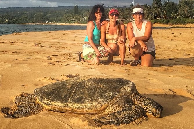8 Hour Circle Island Jeep Tour - Private Jeep Circle Island: what makes it worth $275