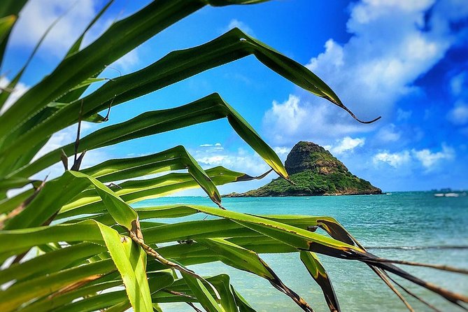 8 Hour Circle Island Jeep Tour - Stop-by-stop: Portlock caves to Shark’s Cove in one loop