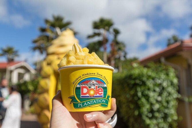 8-Hour Luxury Four Door Convertible Tour of Oahu's South and North Shores - Key things to know before you go