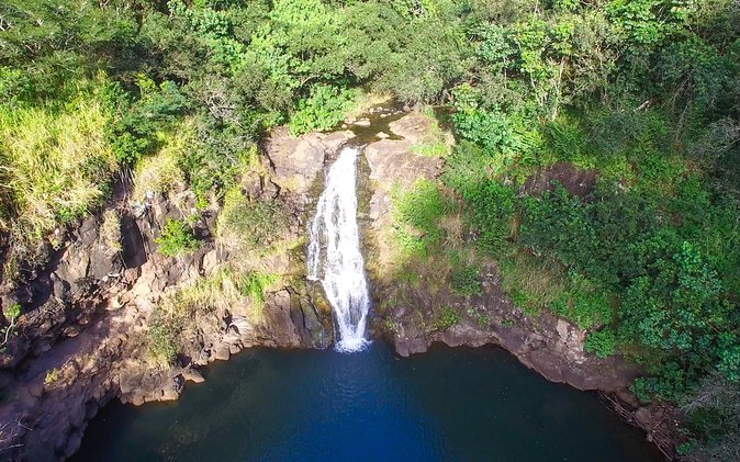 All Inclusive Ultimate Circle Island Tour, Waimea Falls & Lunch - Pickup, Timing, and the Reality of a 10-Hour Loop