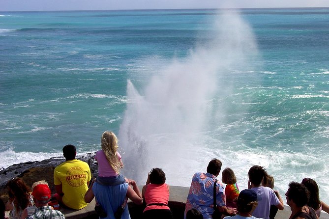 All Inclusive Ultimate Circle Island Tour, Waimea Falls & Lunch - The Ka’iwi Coast, Halona Blowhole, and Where Whales Fit In