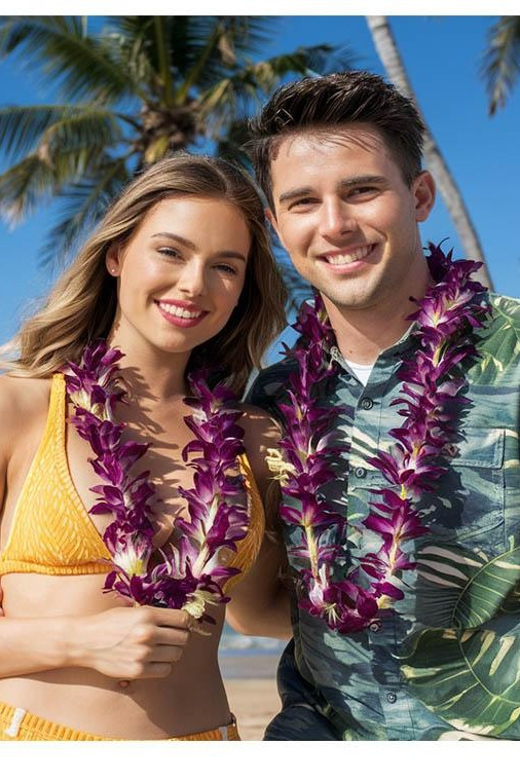 Arrival Lei Greeting --HNL to Waikiki Private Transfer - When This Transfer Might Not Be Your Best Fit