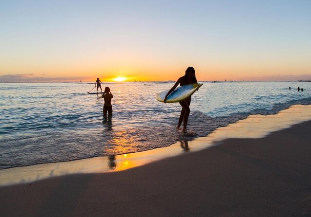 Arrival Transfer: Airport Shuttle Honolulu and Waikiki or Cruise Terminal - A Honolulu Airport Shuttle That Trades Stress for Time
