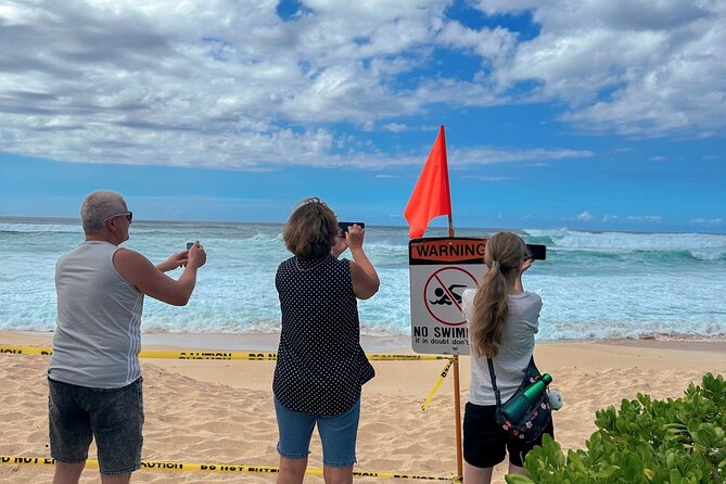 Best of Oahu Full-Day Small-Group Island Tour - Pickup, Comfort, and What to Expect Inside the Vehicle