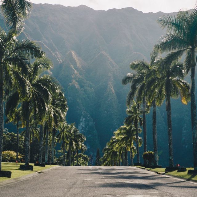 Best of Oahu in One Day - Lunch Option on the North Shore: Flexible, and That’s the Point