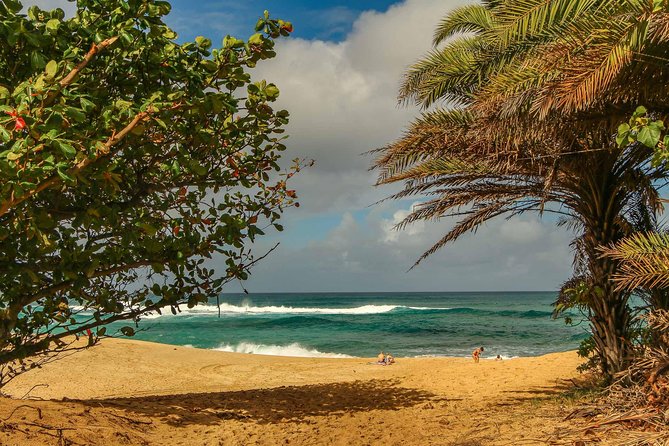 Best of Oahu: Pearl Harbor & Oahu Circle Island Tour from Waikiki - Dole Plantation in 30 Minutes: How to Not Waste Your Time