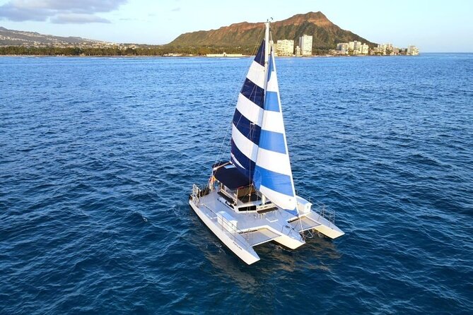 Best Waikiki Whale Watching in Honolulu: Whales Guaranteed - The two-hour sail: how your captain works the whale zone