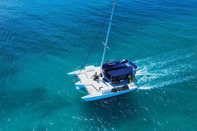 Best Waikiki Whale Watching in Honolulu: Whales Guaranteed - Onboard vibe and BYOB: how to make the boat time feel easy