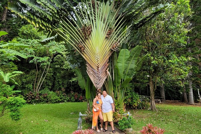 Byodo Temple and Waimea Botanical Garden Tour - Jewelry, Restrooms, and Local Shopping at New Hawaii’s Treasures