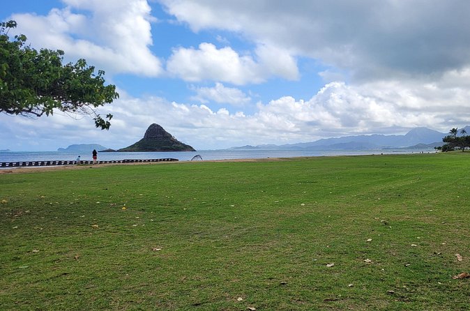 Circle Island 8hr Private Small Group Tour - Waimea Falls: A Botanical Break (and a Movie Location Stop)