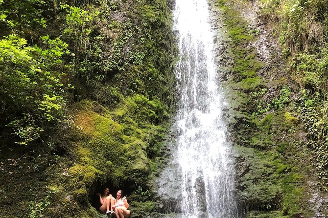 Circle Island tours - swim with turtles,Private & Small Group Tours - South and East Oahu stops: beaches, viewpoints, and local culture