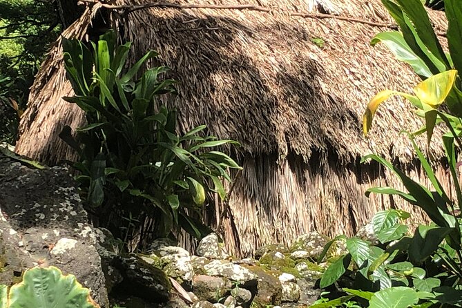 Circle Island tours - swim with turtles,Private & Small Group Tours - Price and value: what $150 buys you (and what it doesn’t)