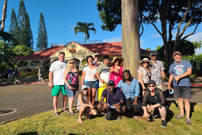 Cruise Ship with Direct "Pier Pick Up" All Fee's Included - Mōkōliʻi (Chinaman’s Hat) and North Shore views