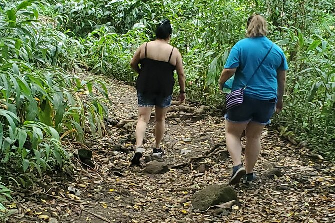Custom Island Adventures Tour - The North Shore and Haleiwa style day (when you want surf-town energy)