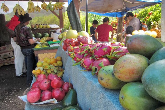 Custom Island Tour - for 4 to 5 people - up to 8 hours - Private tour of Oahu - Included Touches That Make the Day Easier (Cooler Water, Car Seats, Tickets)