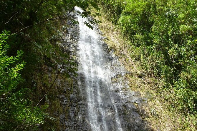 Diamond Head and Manoa Falls Hike and Adventure Tour - Why This Diamond Head and Manoa Falls Tour Fits First-Time Visitors
