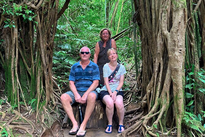 Diamond Head and Manoa Falls Hike and Adventure Tour - Stop 1: Waikiki Beach Quick Intro (Then You’re Off)