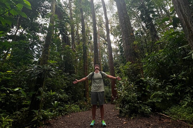 Diamond Head and Manoa Falls Hike and Adventure Tour - Stop 3: The Manoa Falls Trail (Short Walk, Big Feel-Good Factor)
