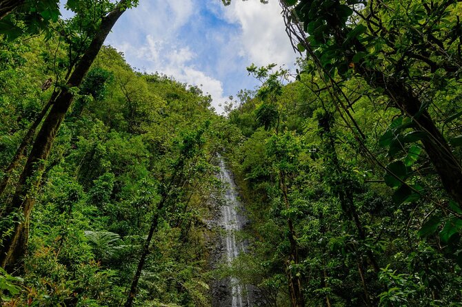 Diamond Head and Manoa Falls Hike and Adventure Tour - The Other Waikiki Stops: Shopping, Duke Kahanamoku, and a Park With a Past