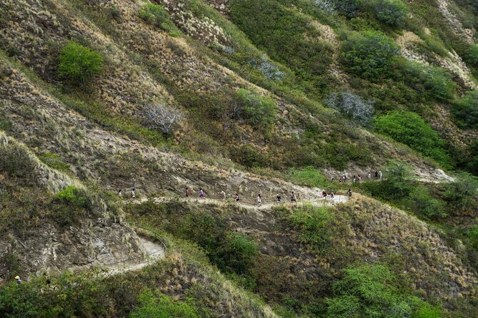 Diamond Head and Manoa Falls Hike and Adventure Tour - Snacks, Beverages, and Comfort: The Small Stuff That Affects the Day