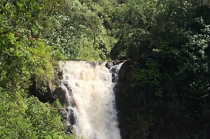Diamond head crater trail , Sightseeing & South Side beach day - Price and Value: What You’re Paying For at $150