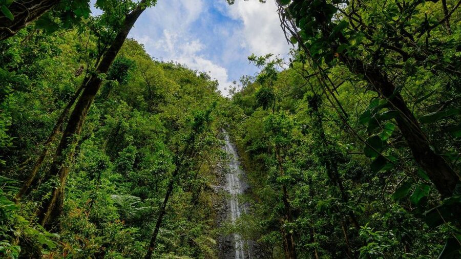 Diamond Head Manoa Falls - Why the Diamond Head + Manoa Falls combo works so well
