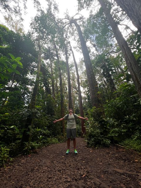 Diamond Head Manoa Falls - Diamond Head crater hike: hot sun, big views, and a better way to prep