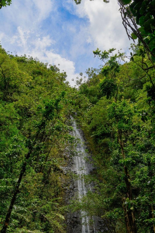 Diamond Head Manoa Falls - What to bring (and what to skip) for a smoother day
