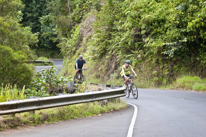 Downhill Bike and Ko'olau Waterfall Hike Tour - Key Moments That Make This Tour Worth Considering