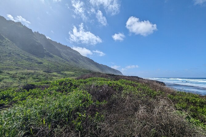 Famed North Shore Tour - Puaʻena Point Beach Park: Honu Spotting and Calm-Day Snorkel Options