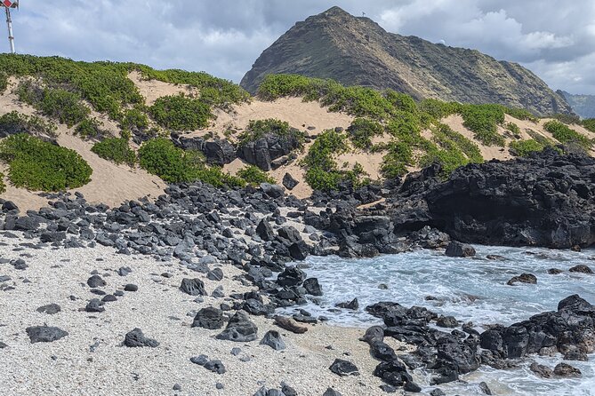Famed North Shore Tour - Sunset Beach and Ehukai Pillbox: Pipeline Views and WW2 Bunkers