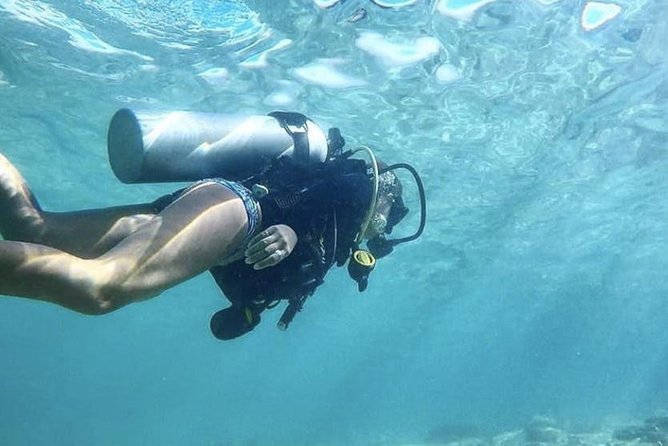 First-Time Scuba Diving in Honolulu + Free Videos - What marine life you can realistically spot