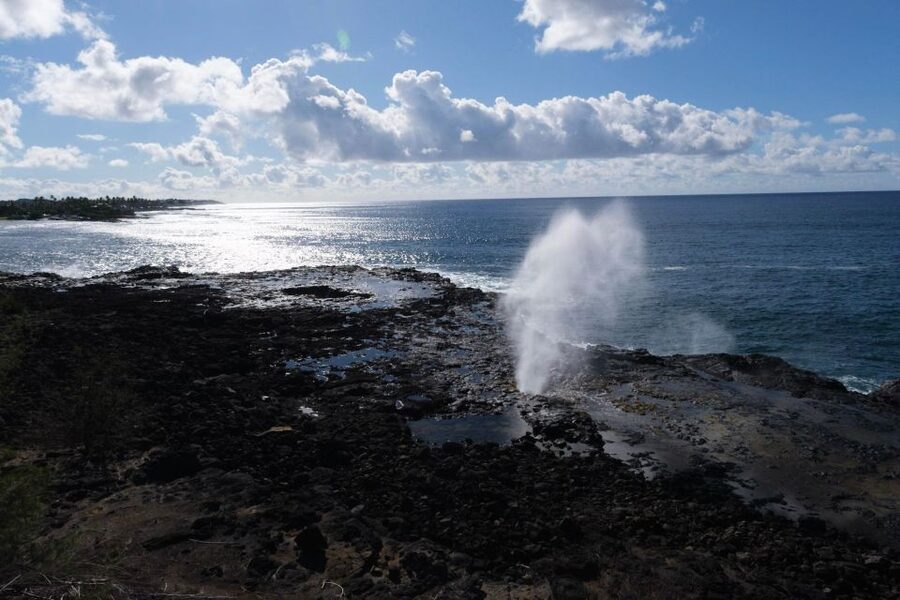 From Oahu: Kauai Waimea Canyon & Wailua River Tour - Key Stops That Make This Tour Worth Your Time