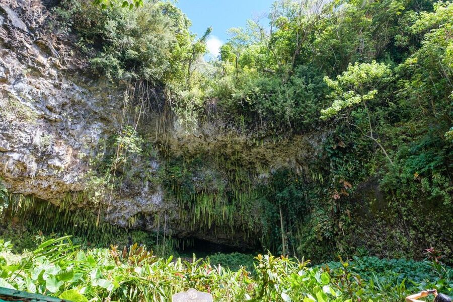 From Oahu: Kauai Waimea Canyon & Wailua River Tour - Free Time in Old Kōloa Town: Lunch on Your Terms