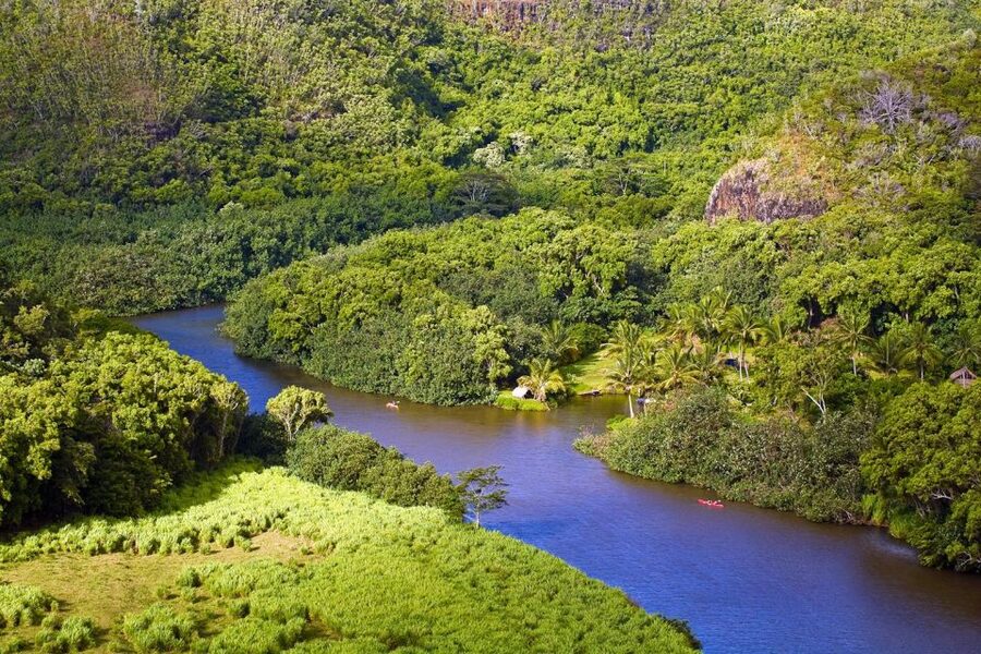 From Oahu: Kauai Waimea Canyon & Wailua River Tour - How the Mini Coach and Driver Guide Affect the Experience