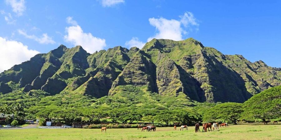 From Waikiki: Circle Island Tour - Why a one-day Circle Island tour beats trying to wing it