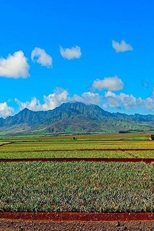 From Waikiki: Oahu Grand Circle Island Experience - Chinaman’s Hat and Kualoa Regional Park: the movie-poster landscape