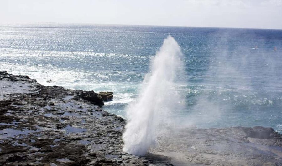From Waikiki: Oahu Scenic Half-Day Circle Island Tour - Waikiki pickup at 6:05 or 9:00: beating traffic and crowd pressure