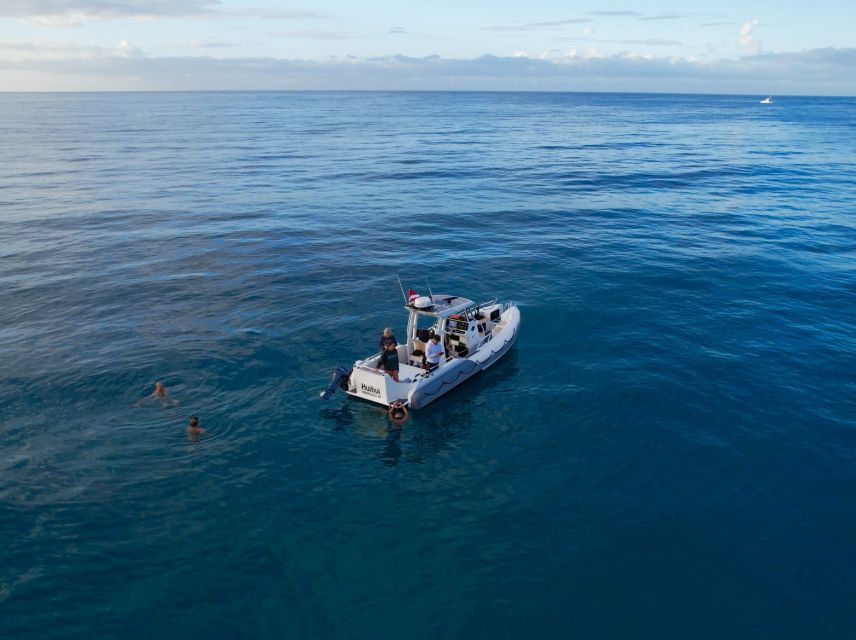 From Waikiki: Turtle Canyon Snorkeling Tour - Price and value: is $81 worth it?