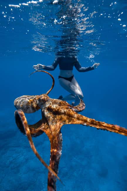 From Waikiki: Turtle Canyon Snorkeling Tour - Who this tour is for (and who should think twice)