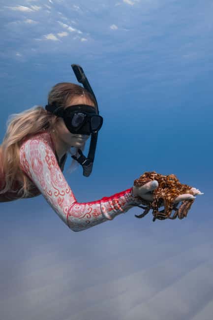 From Waikiki: Turtle Canyon Snorkeling Tour - Should you book the Waikiki Turtle Canyon Snorkeling Tour?