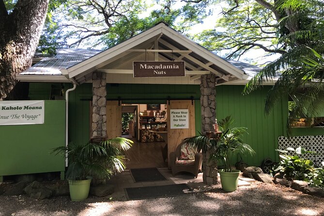 Full-Day Circle Island Guided Tour of Oahu - North Shore: food truck court plus winter wave views
