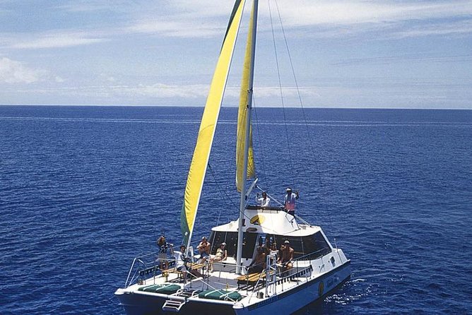 Full Day Oahu Bike, Hike, Sail and Snorkel Combo - Price and Value: Does $292.14 Make Sense for the Whole Day?