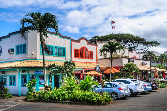 Grand Circle Island Tour - From Waikiki to the North Shore in a single half day